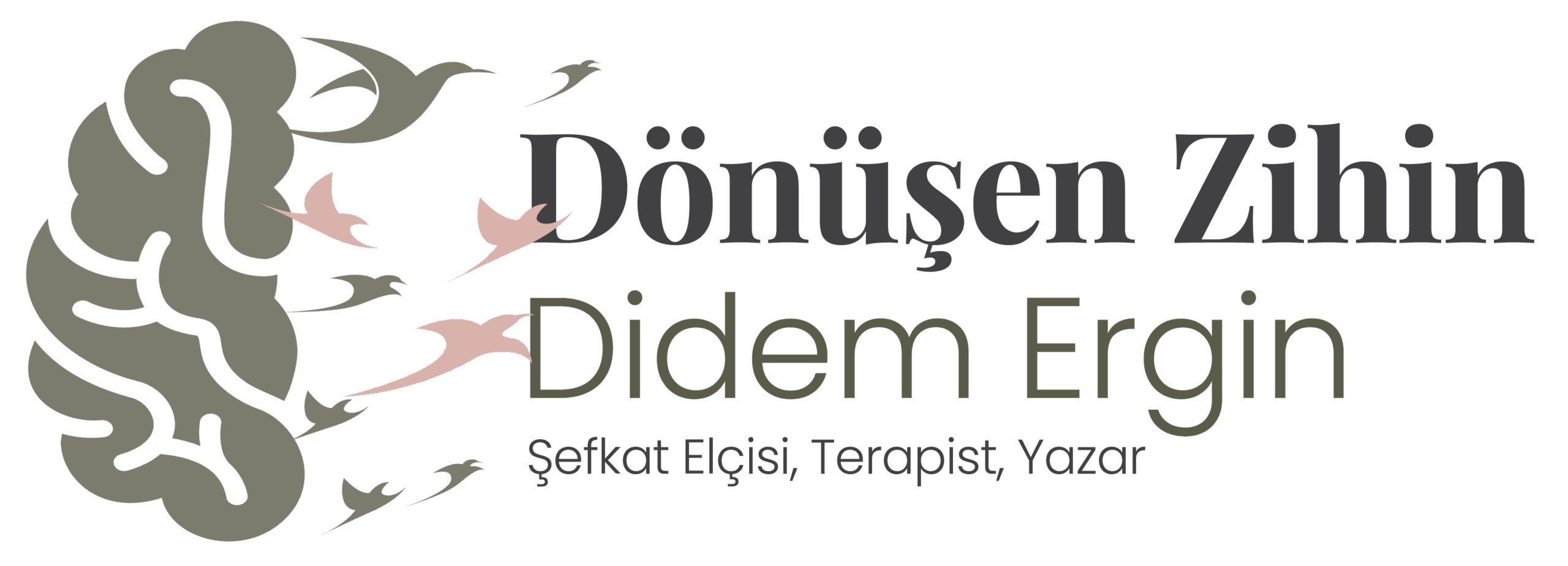 Dönüşen Zihin Platformu