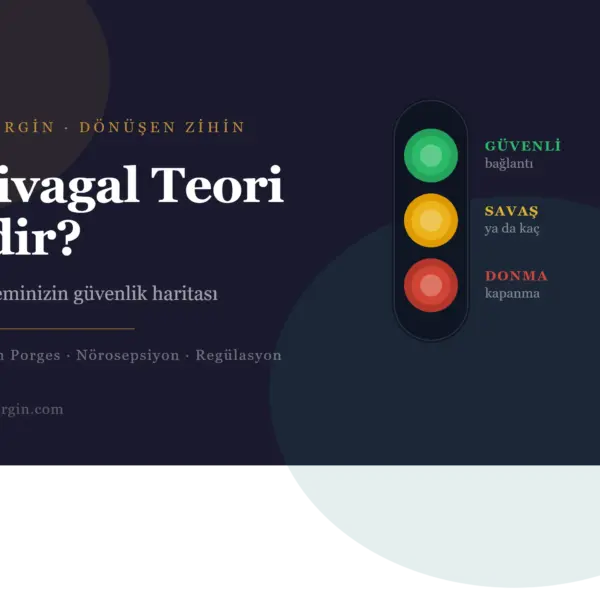 Polivagal Teori Nedir? Sinir Sisteminizin Güvenlik Haritası
