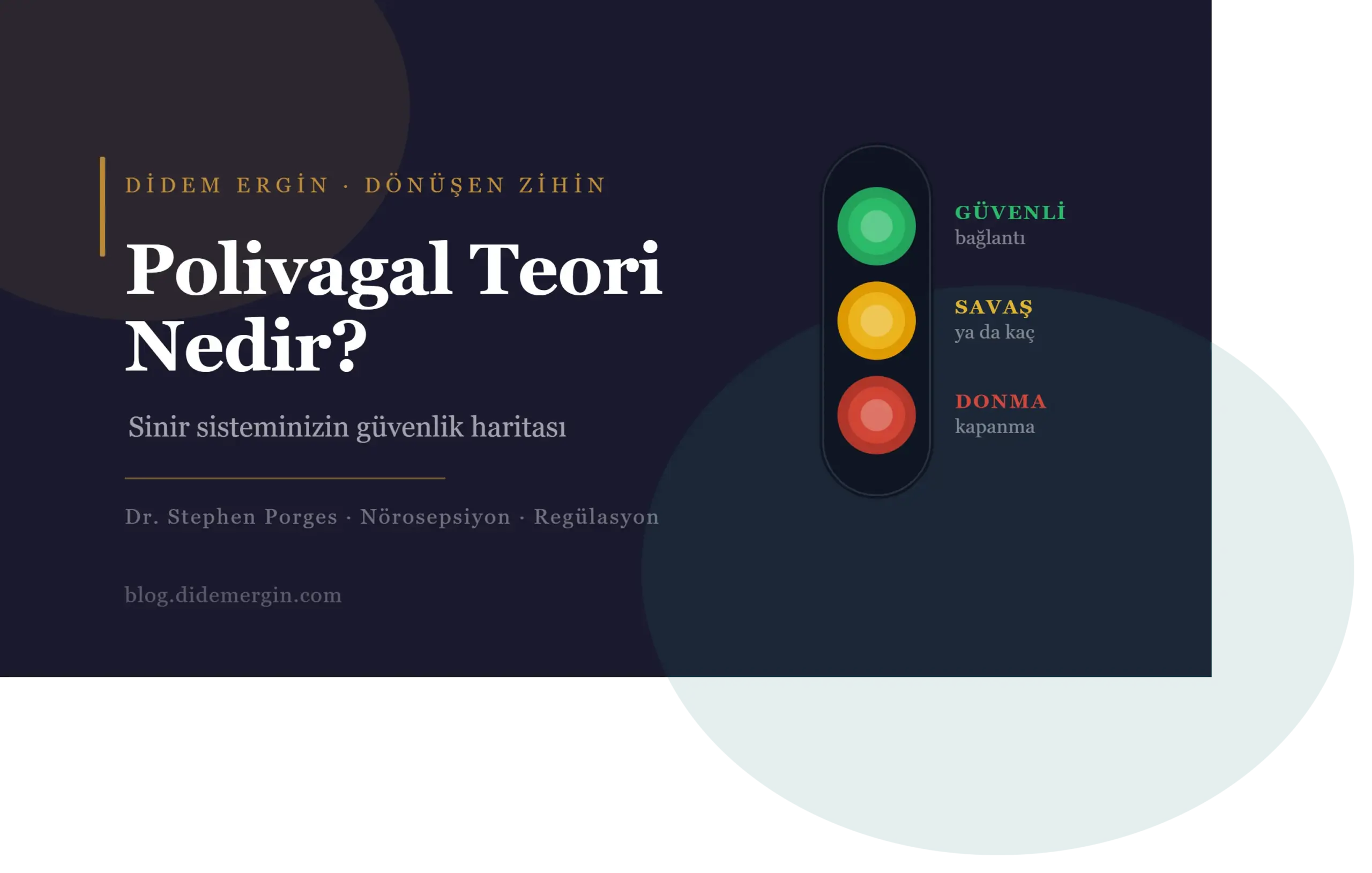 Polivagal Teori Nedir? Sinir Sisteminizin Güvenlik Haritası